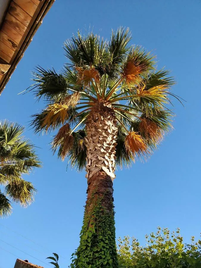 La palmeraie Marsiglia Francia